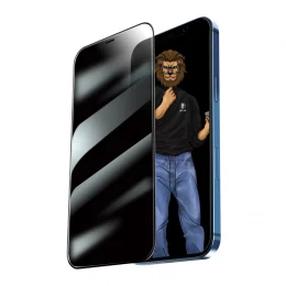 محافظ صفحه نمایش ای کامل Green 9H Steve  برای iPhone 12 Pro Max (6.7 اینچ) - - برند گرین لاین Green lion - تصویر 5