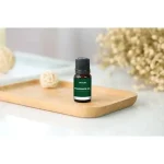 ست عطر ترکیبی 8 در 1 - مشکی - برند گرین لاین Green lion - تصویر 3
