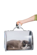 مقیاس چمدان مسافرتی MATE - سفید - برند گرین لاین Green lion - تصویر 5