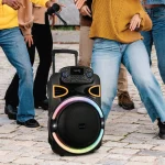 اسپیکر بلوتوثی گرین لاین مدل GNPALFE500 - تصویر 2