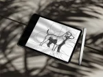 قلم قلم SKYFLEX STYLUS FOR IPAD - WHITE - برند لِوِلو Levelo - تصویر 15