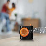 Portable Speaker GNTRP32SPRBK - Black - تصویر 4