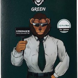 محافظ صفحه نمایش شیشه ای Privacy Glass Green 2.5D AG برای iPhone 12 / 12 Pro 6.1 اینچی - برند گرین لاین Green lion