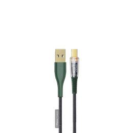[GNTSATYC1MBK] Green Lion Braided USB-A to Type-C Transparent Cable 1M - Black