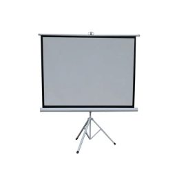 green-lion-portable-projection-screen-with-tripod-stand-120-matte-white