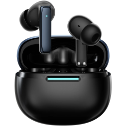 VIENNA Wireless Earbuds, Bluetooth V6.0, 20H Playtime with Case - Black
