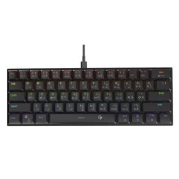 tf-55677988