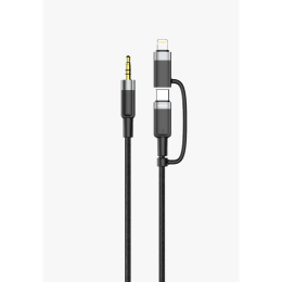 Audio Cable GN2IN1MAUXBK - 2-in-1 USB-C & Lightning to 3.5mm Aux, Black