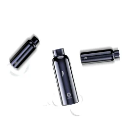 بطری آب استیل ضد زنگ سری طرح سبز 550 میلی لیتر / 18.6 اونس - آبی - برند گرین لاین Green lion